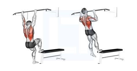Image result for Best Assisted Pull Up Machine