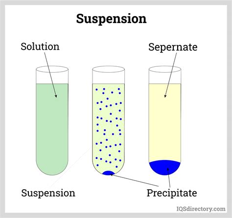 Uses and Types of Homogenizers