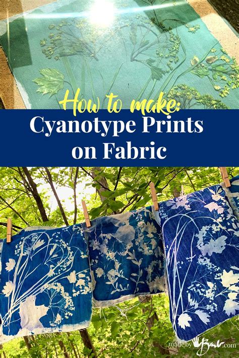 How to make a diy cyanotype sun print – Artofit