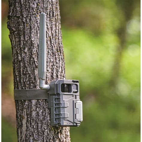 Spypoint Game Camera Set Up at Minnie Wilkin blog