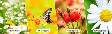 Buy Shomex® 58mm Close-up Filter Kit for Professional Photographer ...