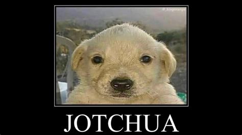 Image result for Chrome Extensions Run JavaScript On Page