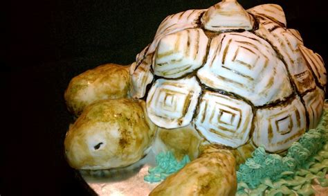 Tortoise Cake Tutorial 的图像结果