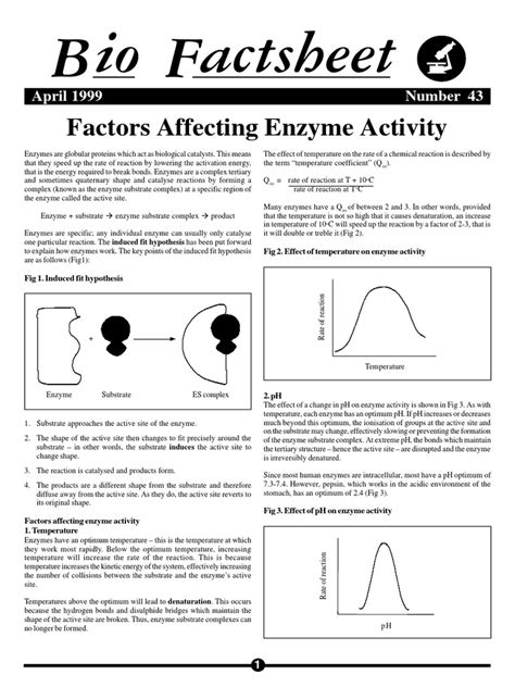 Enzyme Activity Process 的图像结果