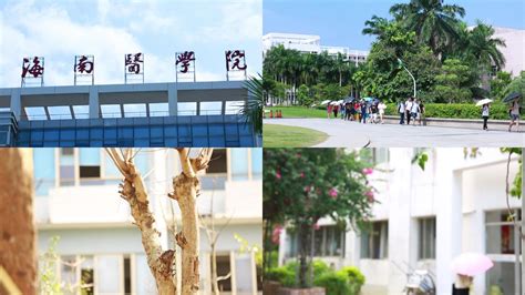 海南医学院第二附属医院2023年最新招聘信息_麟越医生医疗专业人才网