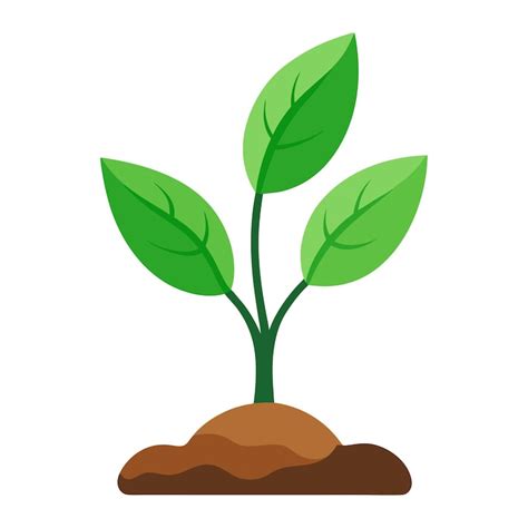 Sprout clip art Images - Free Download on Freepik