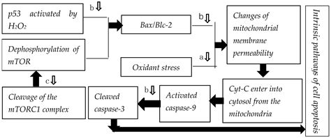 Antiaging Potential of Peptides from Underused Marine Bioresources