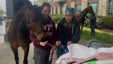 Cancer patient gets her final wish to see her beloved horses one last time