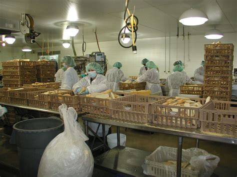 Great American Deli Office Photos