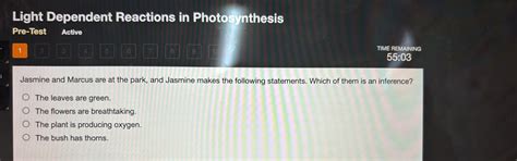 Solved: Light Dependent Reactions in Photosynthesis Pre-Test Active 1 2 ...