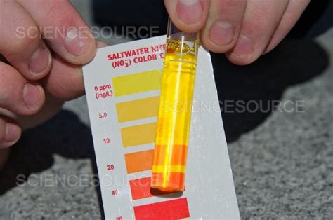 Image result for API Nitrate Color Chart