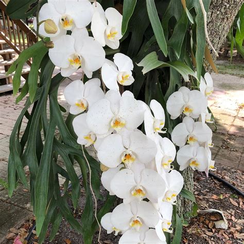 SUNSPORT GARDENS FAMILY NATURIST RESORT - Updated 2026 Hotel Reviews ...