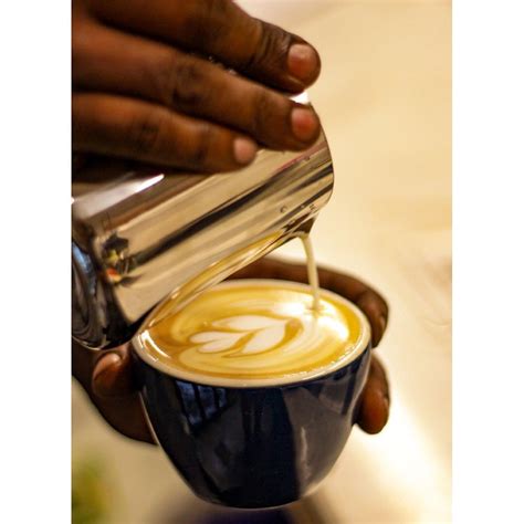 Discover Altogether Experimental Products, Reviews & Information | LBB