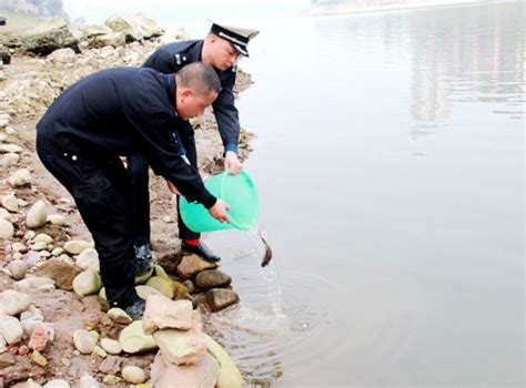 泸州：严打禁渔期非法捕捞 有效保护鱼类繁殖--陕西频道--人民网
