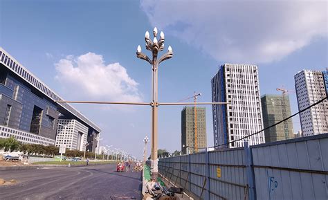 华体科技智慧杆“玉兰灯”即将为武汉光谷—高新大道添彩