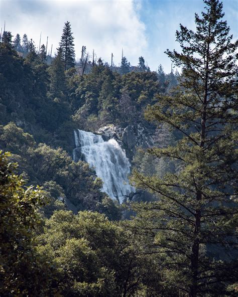 Yosemite 2024 Spring Update (Waterfalls, Wildflowers & Wildlife ...