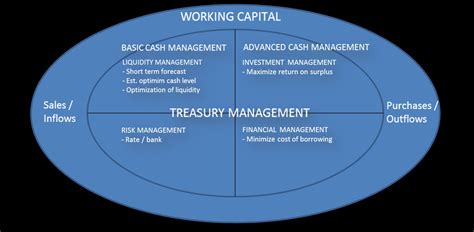 Importance Of Treasury Management System at Billy Tate blog