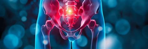 Pelvic Floor Health 101: What Everyone Should Know for Better Function ...