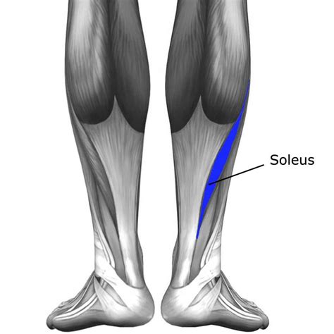 Calf Muscle Strain