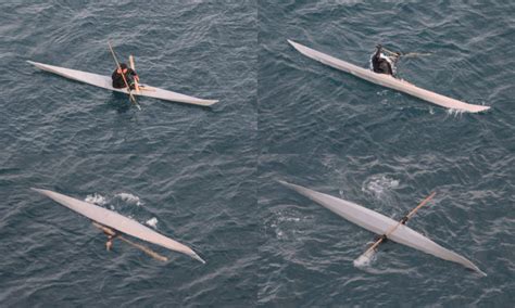 In medieval Europe, narwhal tusks were believed to be the horns from ...