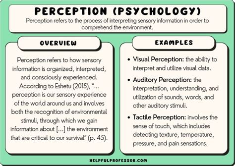Image result for Different Kinds of Perception
