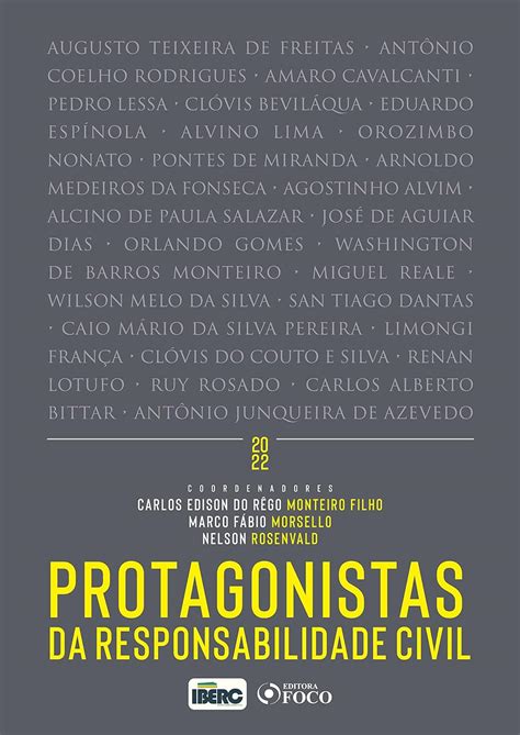 Protagonistas da Responsabilidade Civil (Portuguese Edition) eBook ...