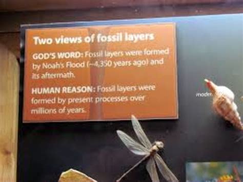 Creation Museum , kentucky, United States Of America - Top Attractions ...