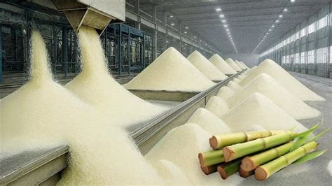 India Allocates 15 Lakh Tonnes Sugar Export Quota for 2025–26; Issues ...