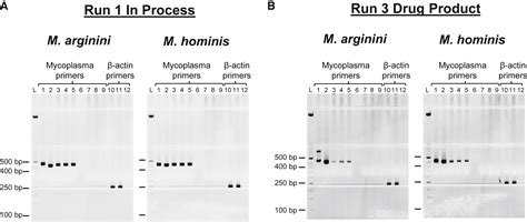 Image result for Nucleic Acid Amplification Test Explained