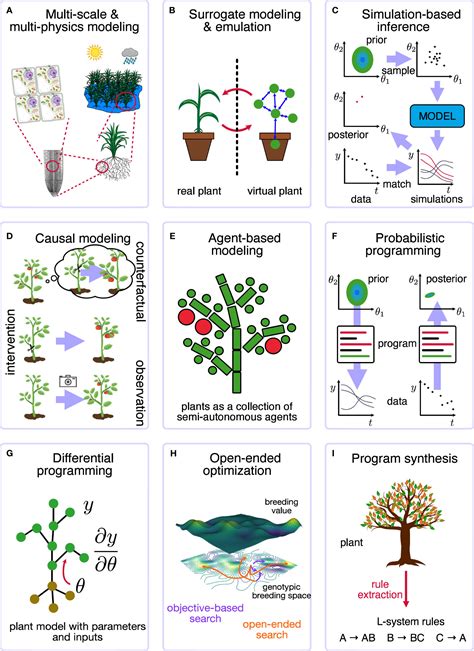 Plant Science and Biotechnology 的图像结果