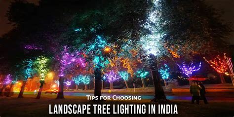Landscape Tree Lighting 的图像结果