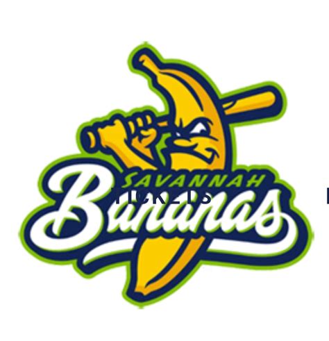 The Savannah Bananas Salary Revealed in 2025