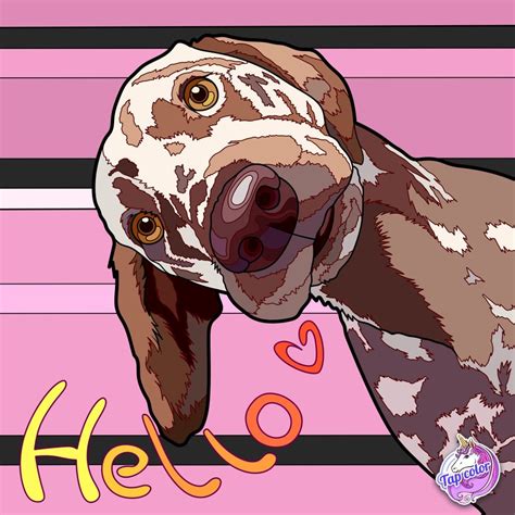 HelloWorld JavaScript Dog Name 的图像结果