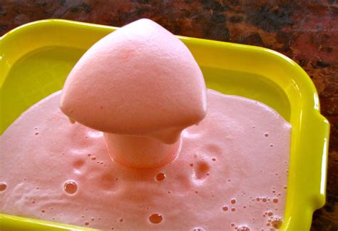 Exploding Foam Science Experiment 的图像结果