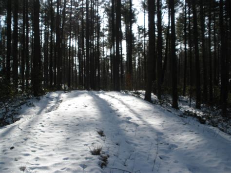 Hole 5 • Coggshall Park (Fitchburg, MA) | Disc Golf Courses | Disc Golf ...