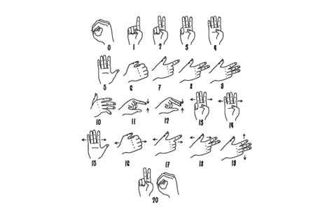 Sign Language Numbers 1 20 的图像结果