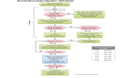 Image result for NRP Resuscitation Algorithm
