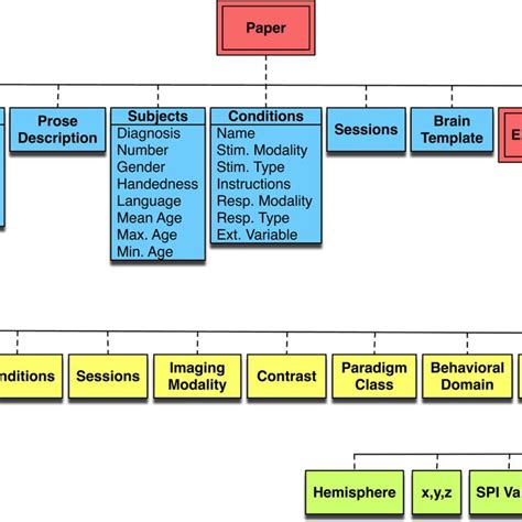 Brain Map Example 的图像结果