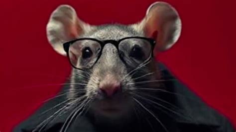 Tim Cheese | Know Your Meme