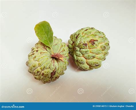 Sitaphal Sugar Apple Annona Squamosa, Fruit Food Sharifa Custard Apple ...