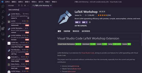 Latex Editing Tips VSCode 的图像结果