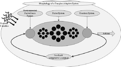 Image result for Complex Adaptive System Model