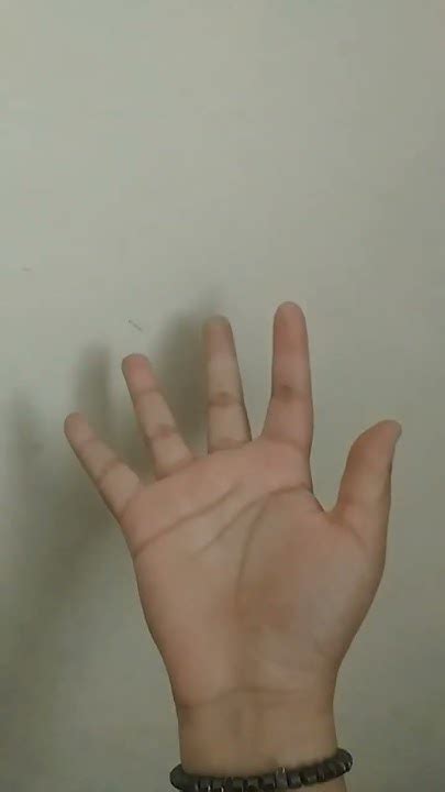 Image result for Tutorial How to Finger Beginner