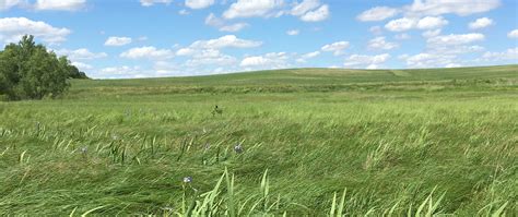 Engeldinger Marsh - Polk County Iowa