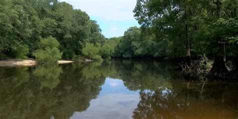 SC expert and father of victim weigh in on rare amoeba disease and risk