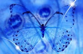 Image result for Blue Roses with Butterflies Wallpapers