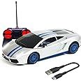 Wembley Remote Control Car High Speed Mini 1:24 Scale Type-C USB ...