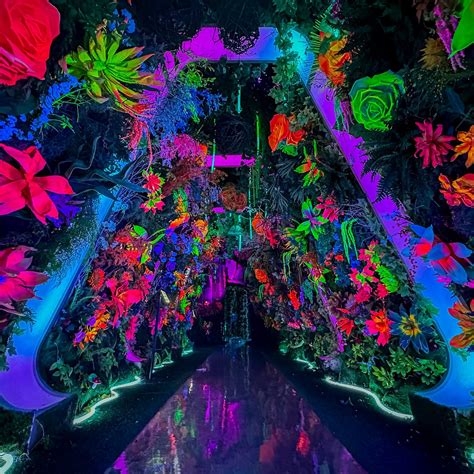 INTER NYC (2026) All You Need to Know BEFORE You Go (with Photos ...