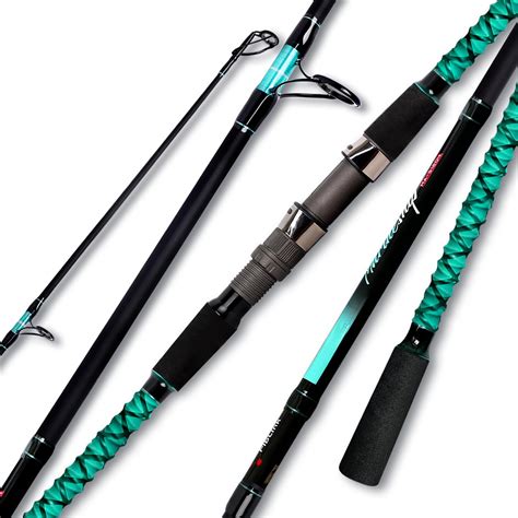 Carbon Fiber Saltwater Fishing Rods at Elaine Osborn blog