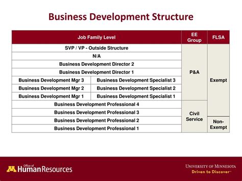 Image result for Business Development Structure